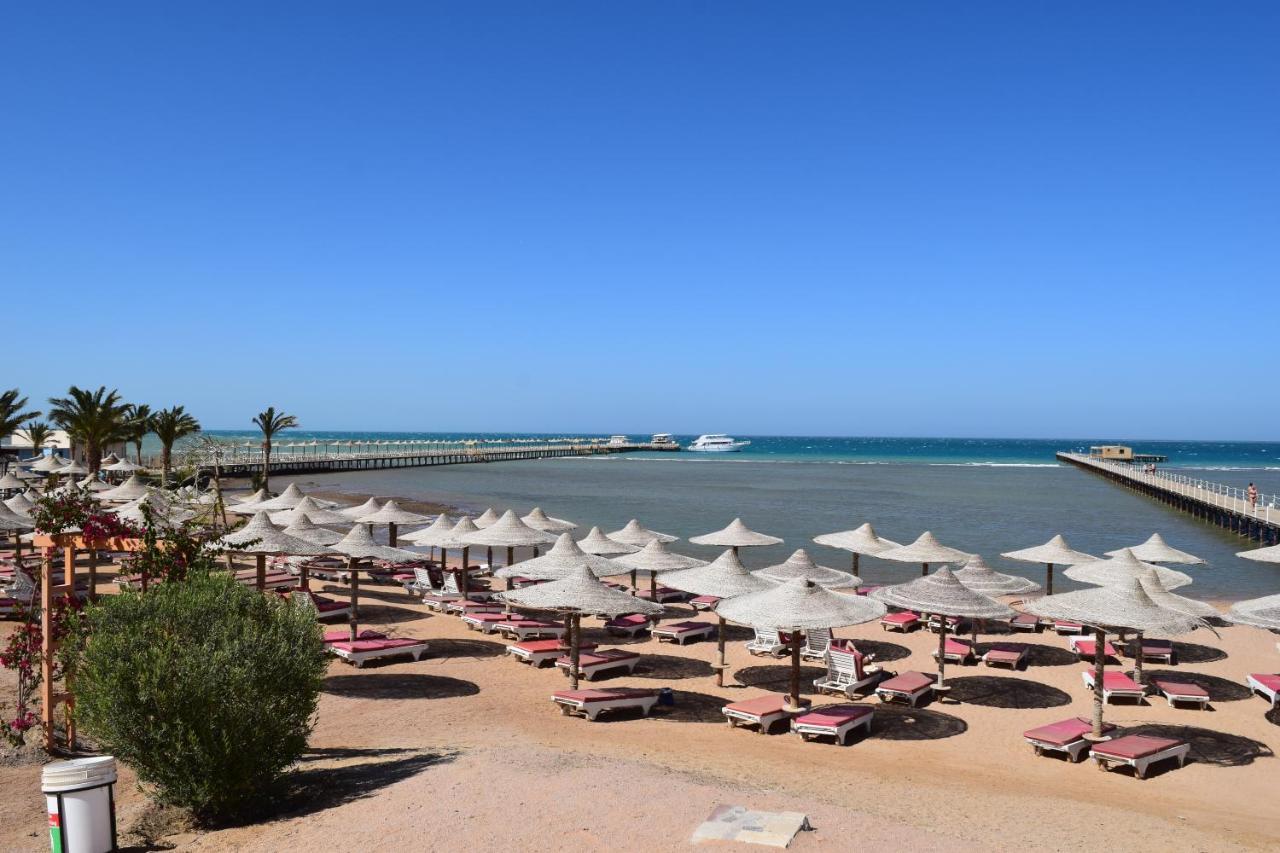 Comfortable Studio In Hotel Karma With Private Beach And Pools Family Only Or Female Hurgada Dış mekan fotoğraf