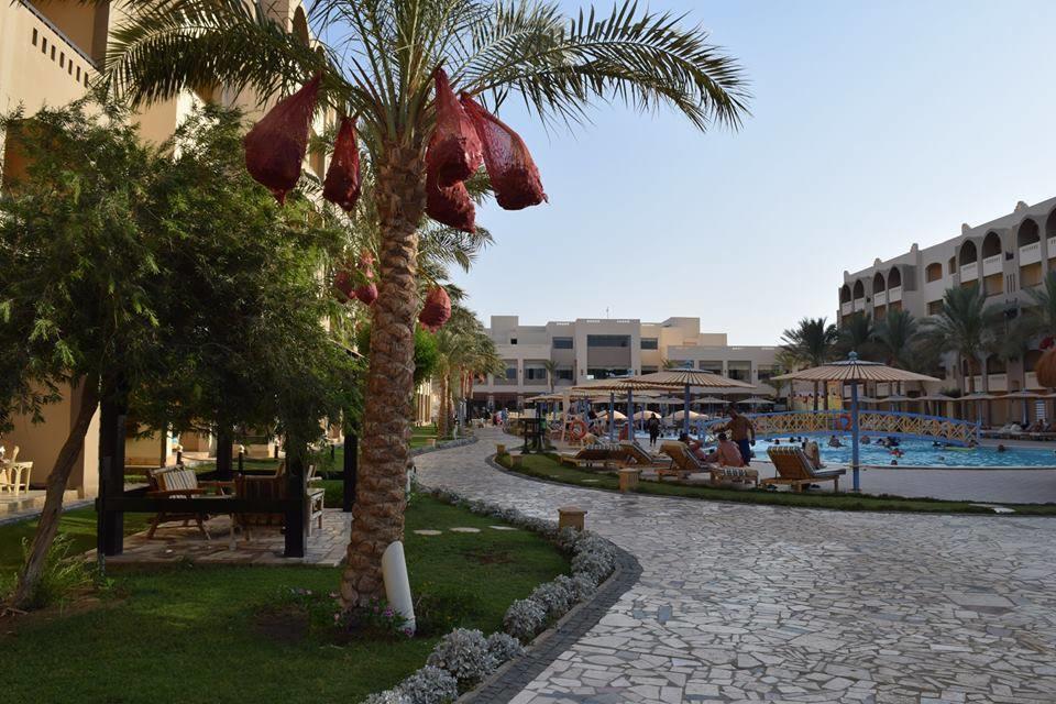 Comfortable Studio In Hotel Karma With Private Beach And Pools Family Only Or Female Hurgada Dış mekan fotoğraf